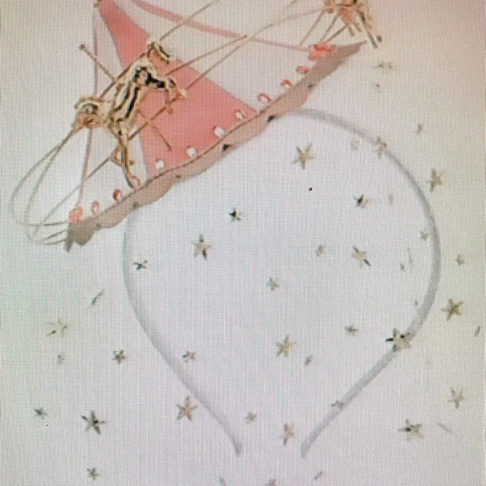 Disney Parks King Arthur Carousel headband Mesh Veil in Collectors Box
